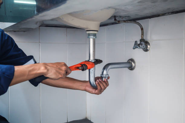 Best Same-Day Plumbing Service  in Crete, IL