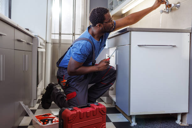 Best Plumbing Services Near Me  in Crete, IL