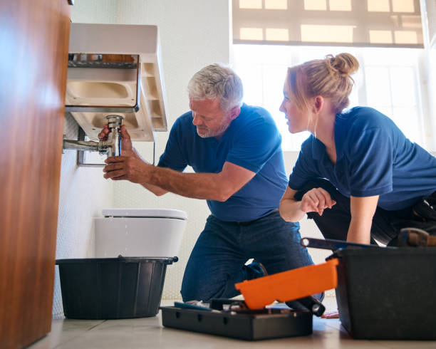 Best Plumbing Inspection Services  in Crete, IL